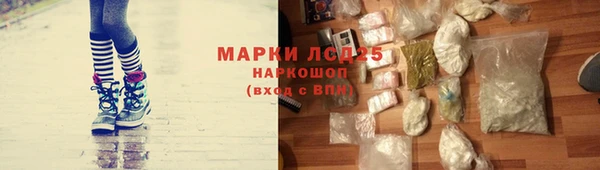 сатива Пестово