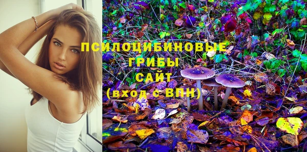 сатива Пестово