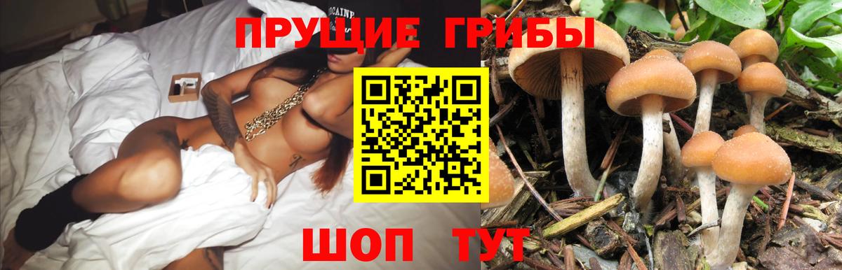 Псилоцибиновые грибы MAGIC MUSHROOMS  Вход с VPN  Пенза 