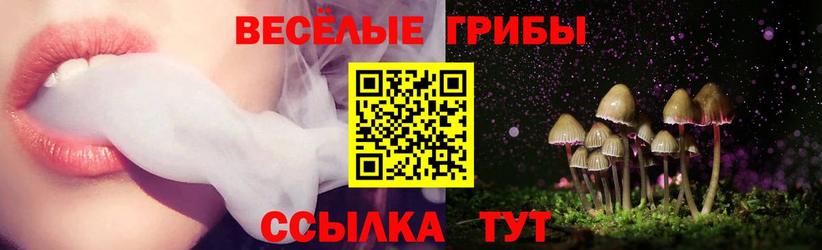 Галлюциногенные грибы мицелий Пенза